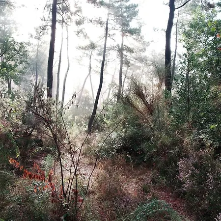 La Fee Du Val - En Ardeche *
